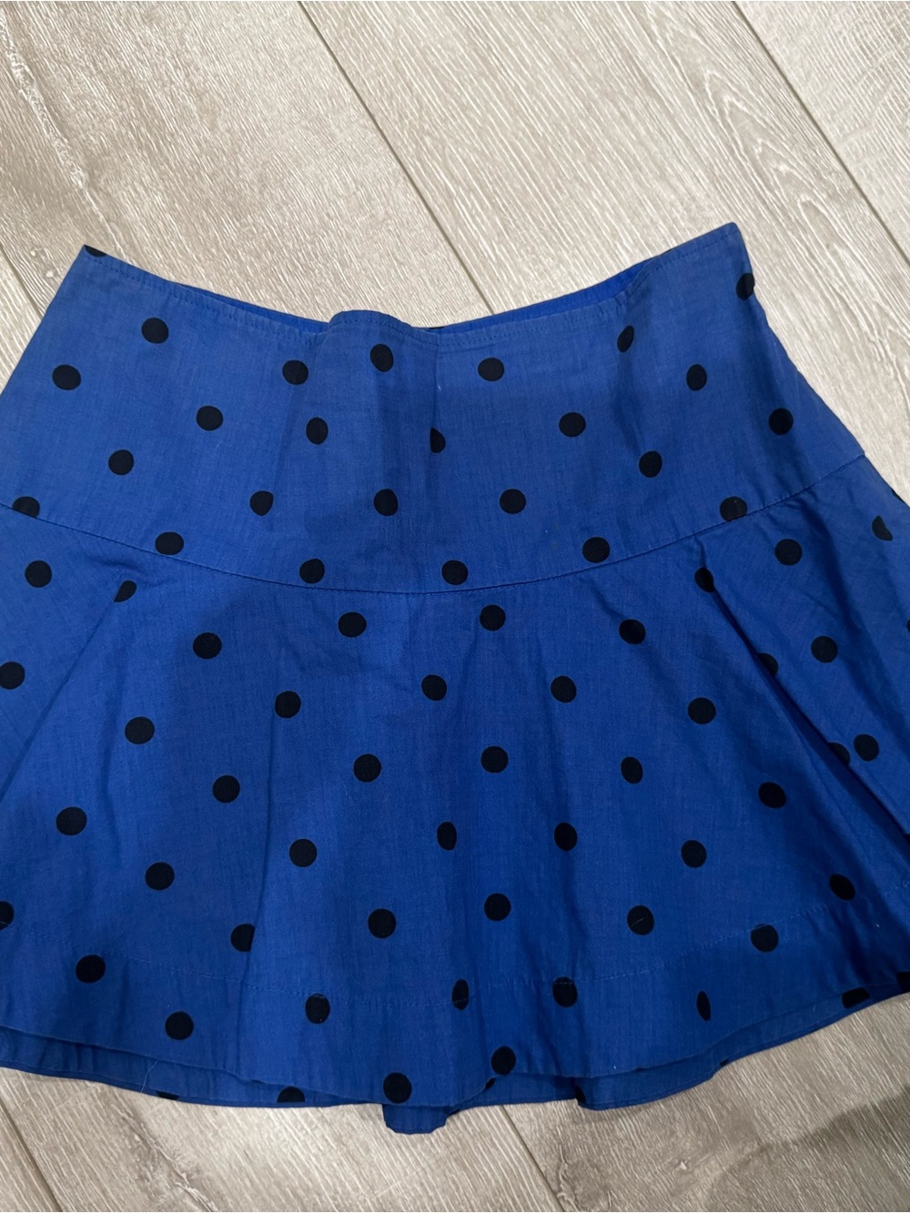 Gilly Hicks Blue Polka Dot Skater Skirt